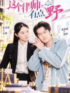 这个律师有点野海报